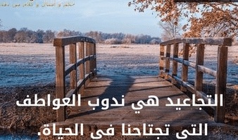 غزل عن التجاعيد