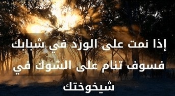 غزل عن التجاعيد
