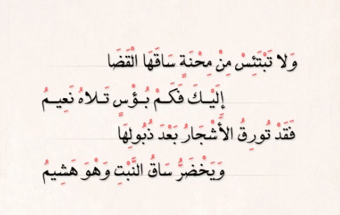 غزل عن السيقان