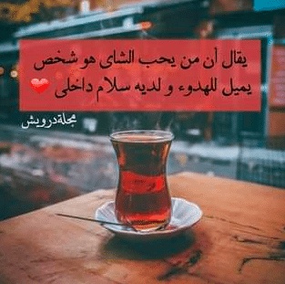 غزل عن الشاي