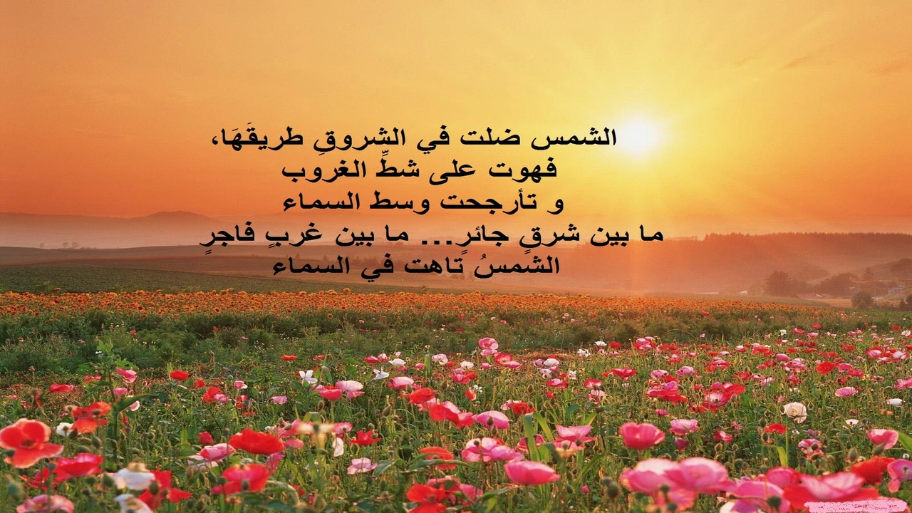صورة غزل عن الشمس