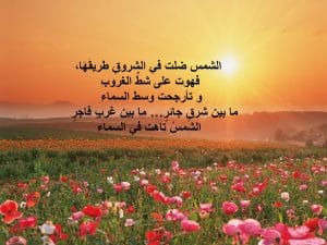 غزل عن الشمس