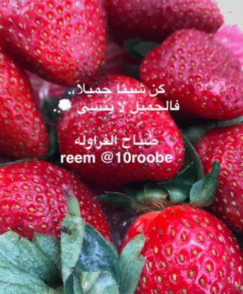 غزل عن الفراولة