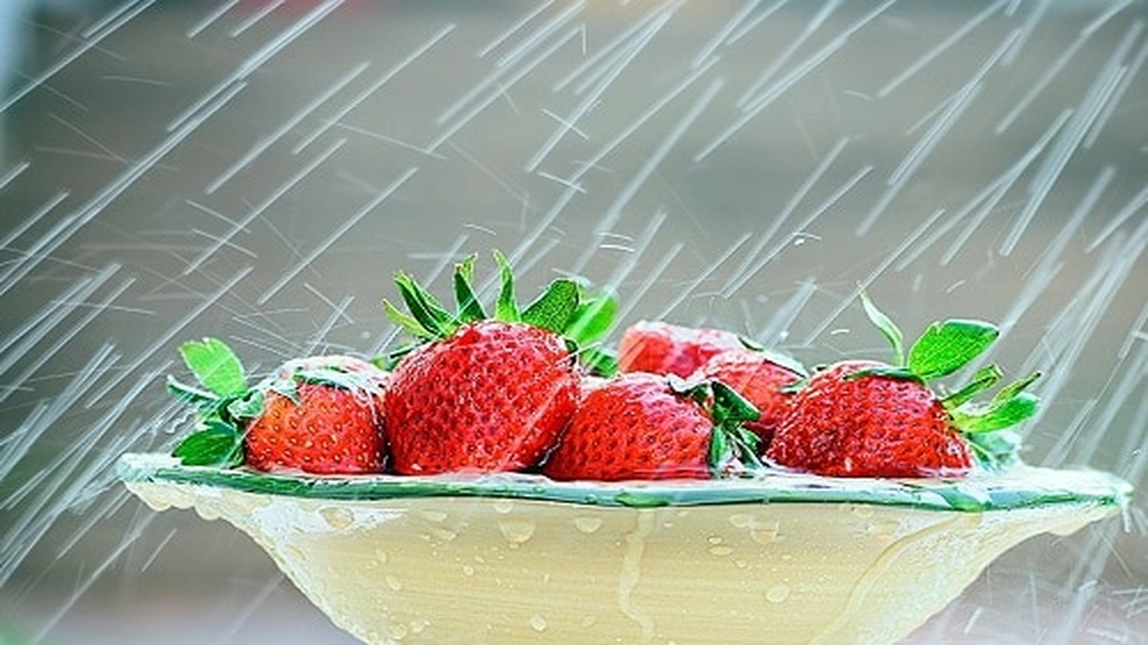 صورة غزل عن الفراولة