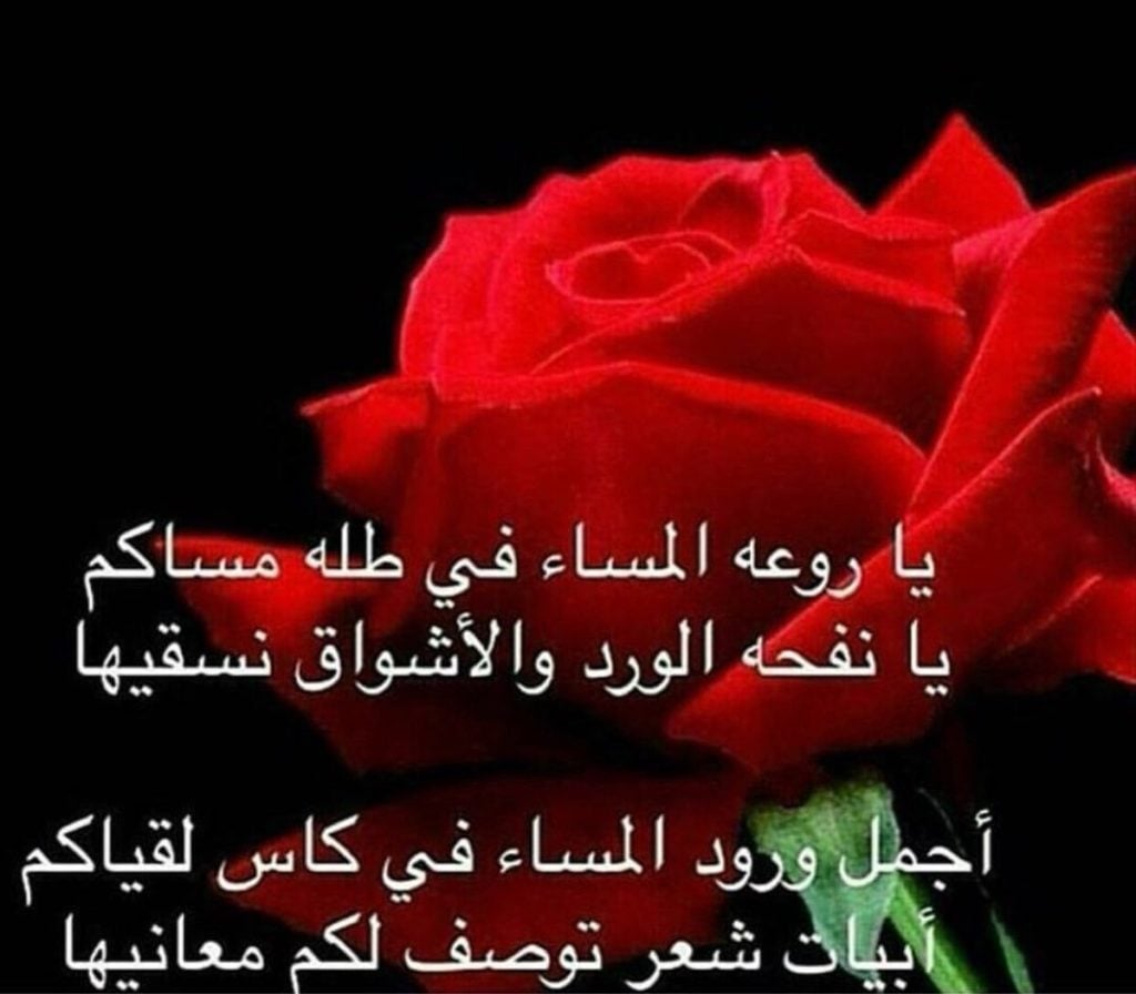 غزل عن الورد