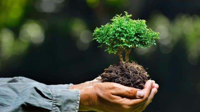 فقرة هل تعلم عن البيئة