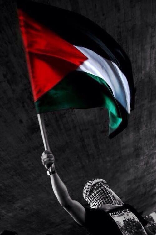 فقرة هل تعلم عن فلسطين