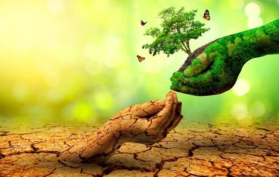 فقره هل تعلم عن المناخ