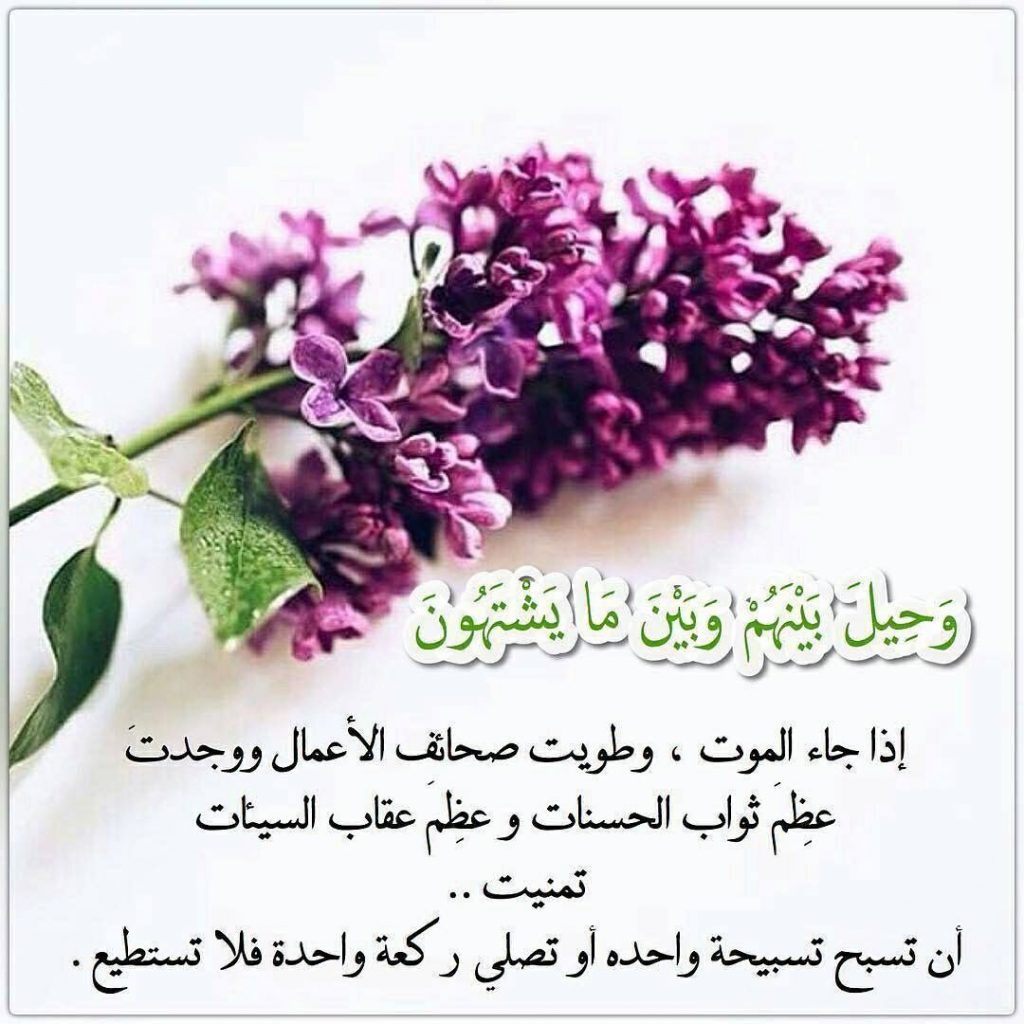 فوائد آية وَحِيلَ بينهم وبين مايشتهون