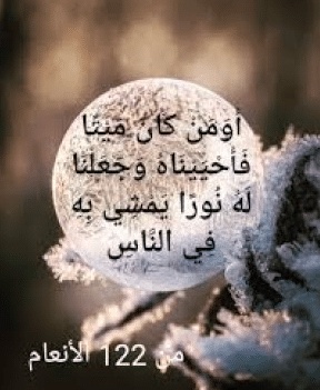 فوائد الآية أومن كان مَيْتًا فأحييناه