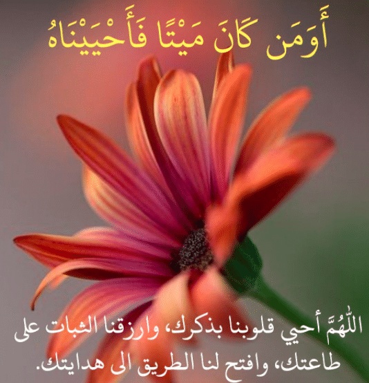 فوائد الآية أومن كان مَيْتًا فأحييناه