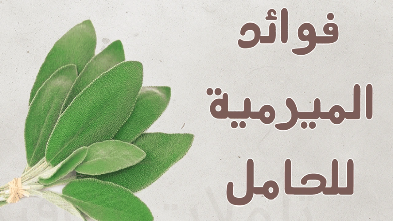 صورة فوائد الميرمية للحمل