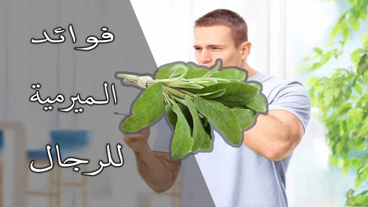 صورة فوائد الميرمية للرجال