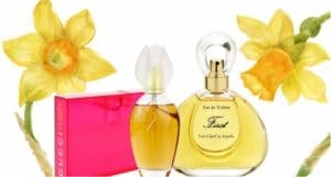 فوائد عطر النرجس