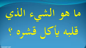 فوازير وحلها بالصور