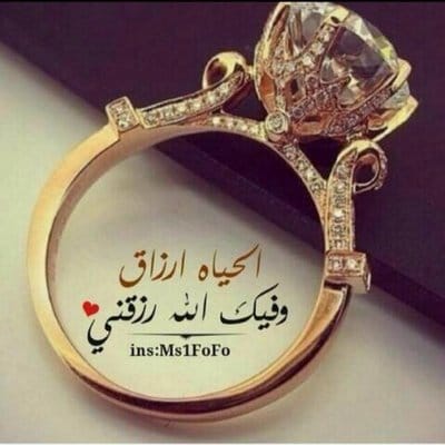 في مثل هذا اليوم أصبحت ملكك تويتر