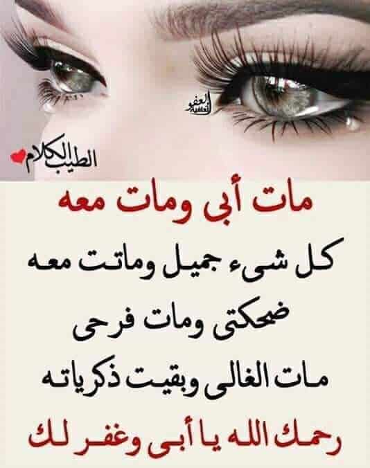 في مثل هذا اليوم ذهب ابي