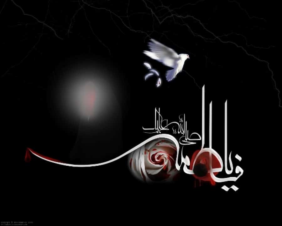 قصائد وفاة الزهراء مكتوبة
