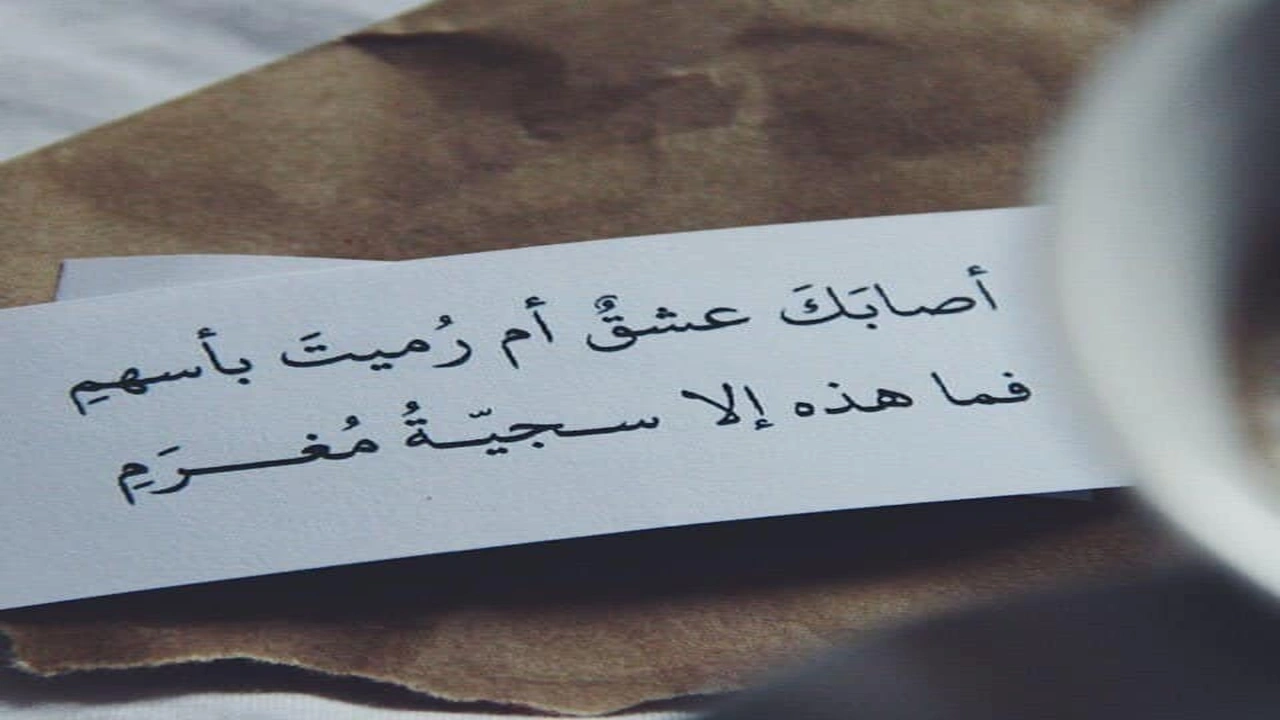 صورة قصائد يزيد بن معاوية في الغزل