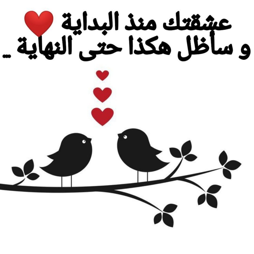 قصاصات سناب حب