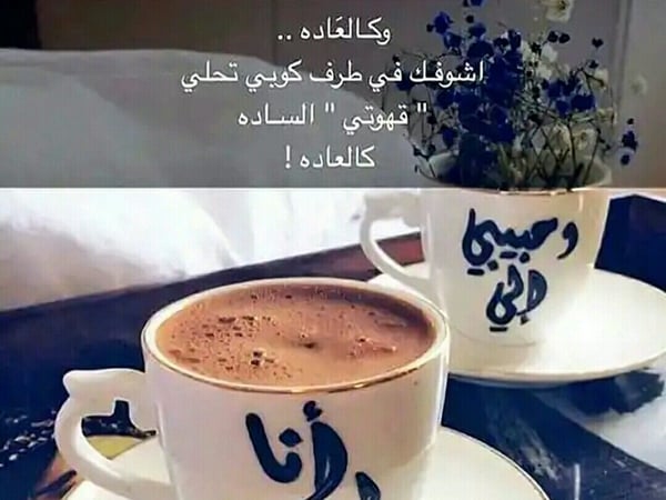 قصاصات سناب حب