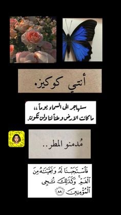 قصاصات سناب عبارات