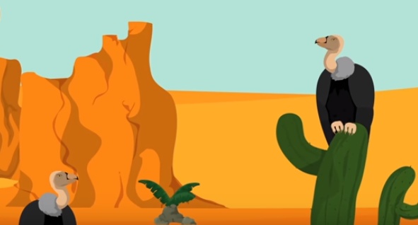 قصة الساحر واللص