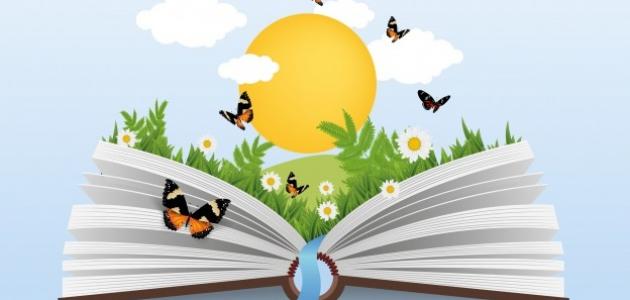 قصة قصيرة عن الكتاب