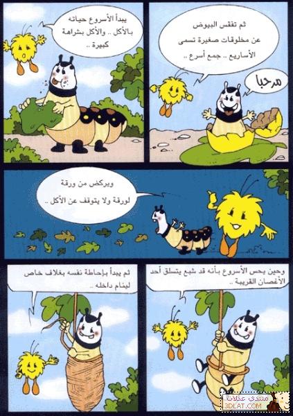 قصص اطفال قصيرة بالصور جميلة