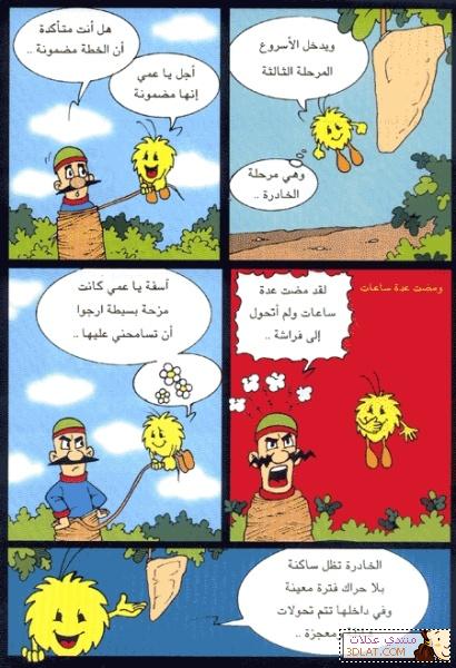 قصص اطفال قصيرة بالصور جميلة