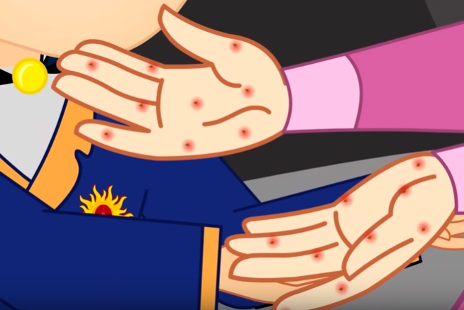 قصص اطفال مكتوبة هادفة طويلة : قصة البجعات البريات