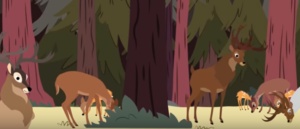 قصص ما قبل النوم للاطفال : قطيع الغزلان والدب