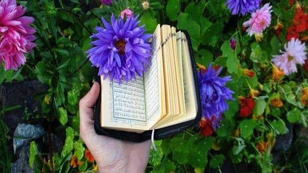 صورة قصص واقعية عن الباقيات الصالحات