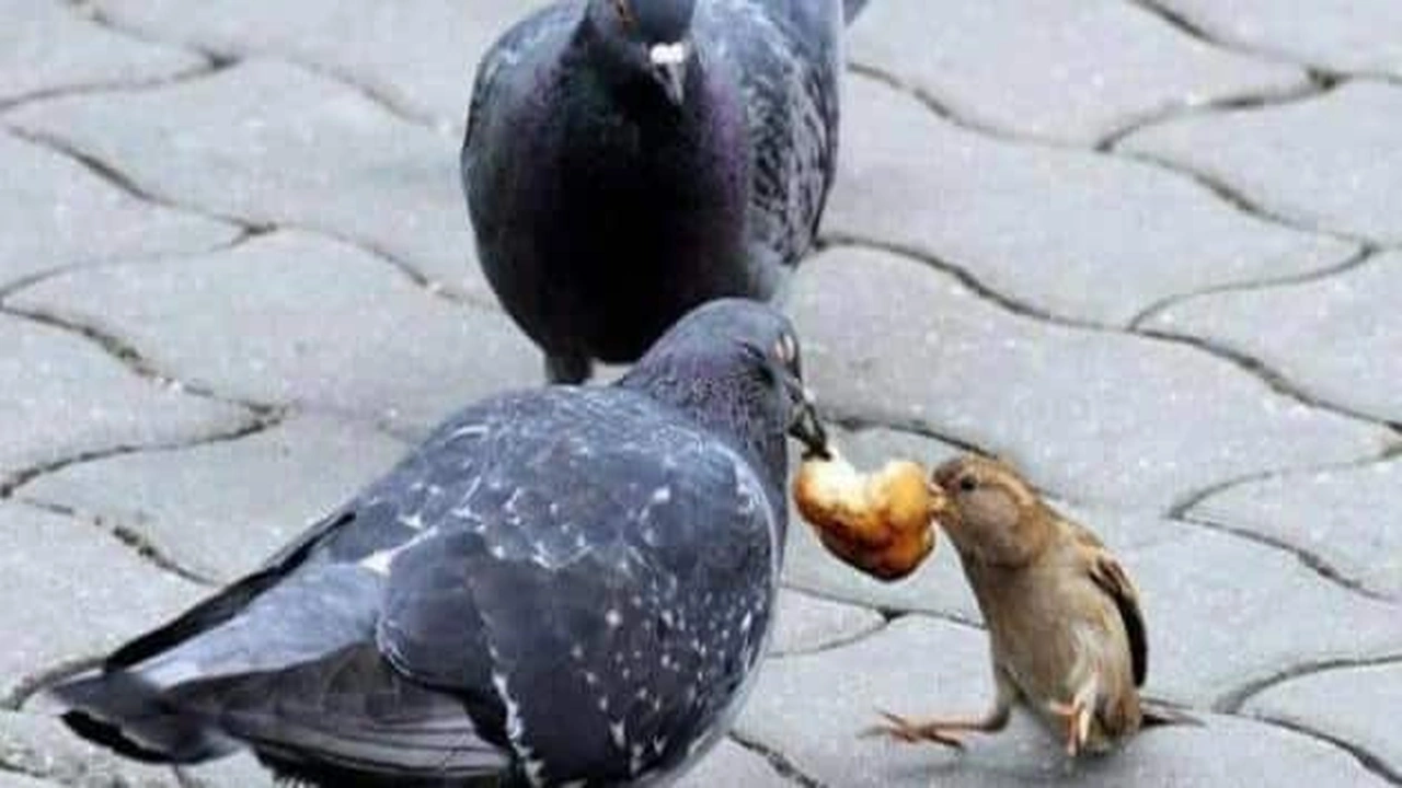 صورة قصص واقعية عن الرزق