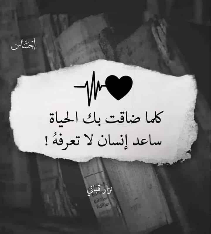 قصيدة حكمة قوية