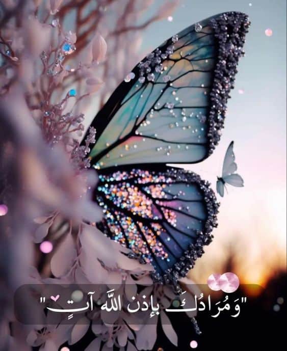 كابشن انجلش عن التفاؤل