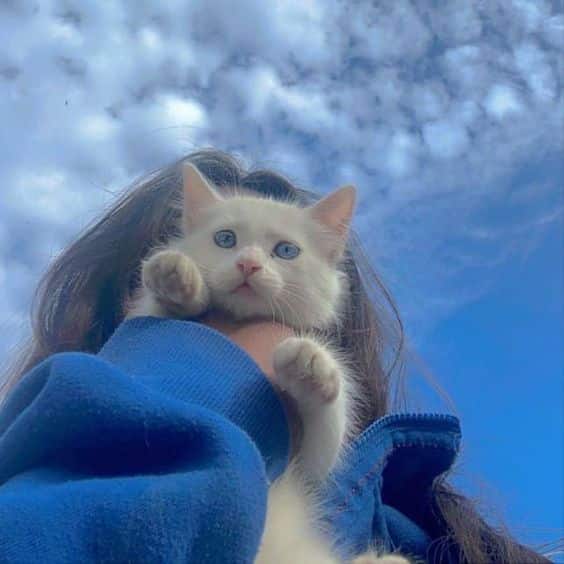 كابشن انجلش للبروفايل