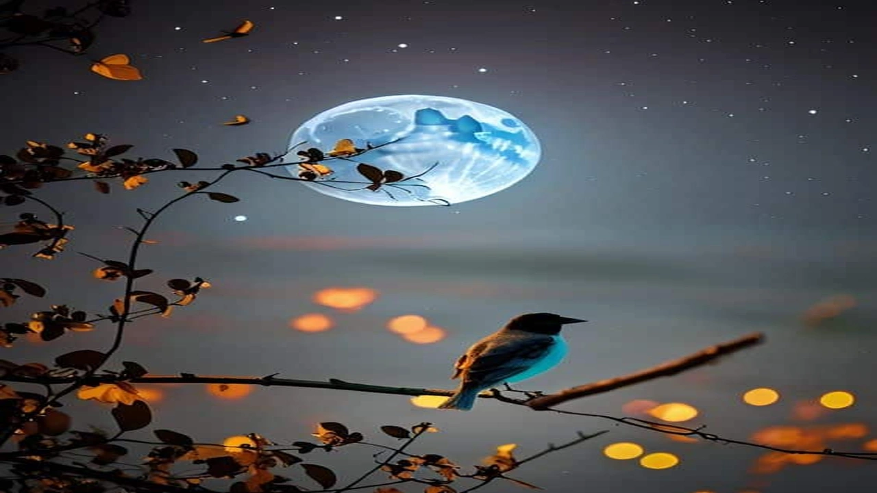 صورة كابشن انستا للصور