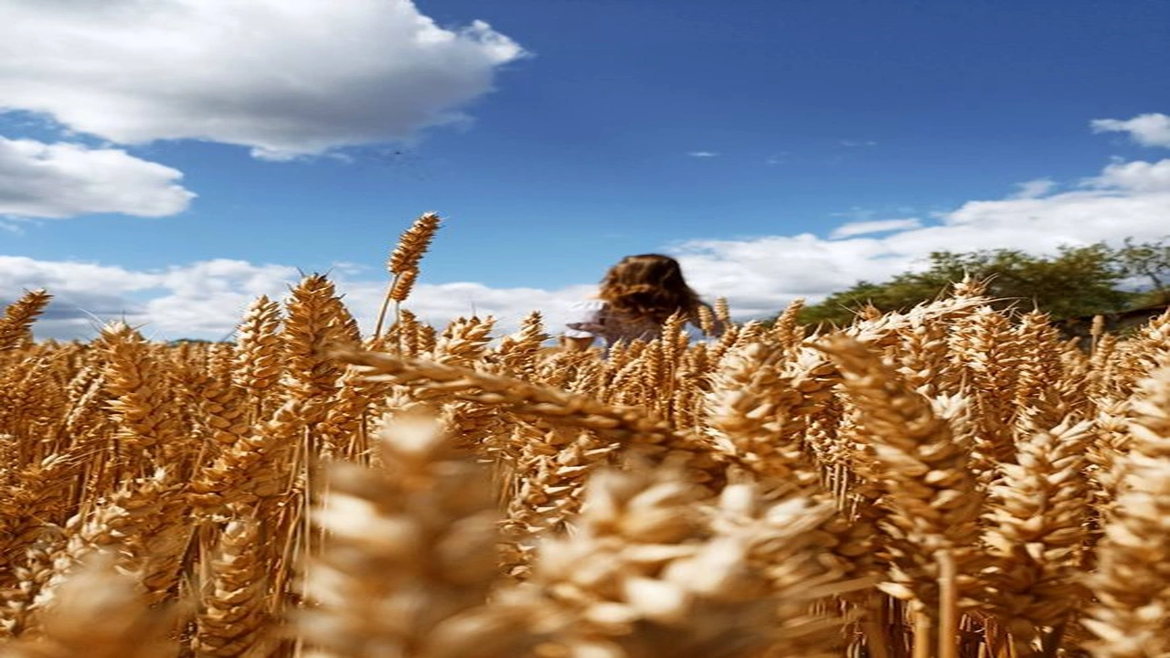 صورة كابشن جميل بالانجليزي