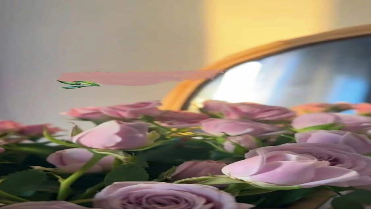 صورة كابشن للصور الشخصية