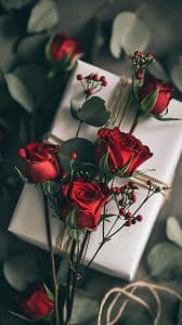 كابشن هدايا