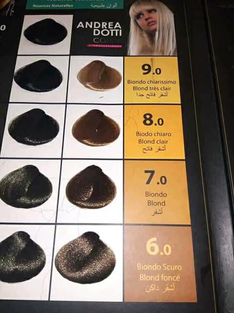 كتالوج صبغة اندريا دوتي بالارقام