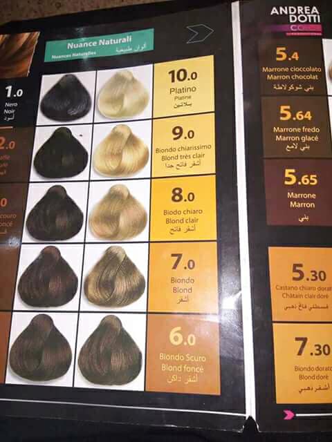 كتالوج صبغة اندريا دوتي بالارقام