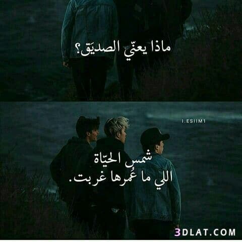 كلام جميل عن الصداقة