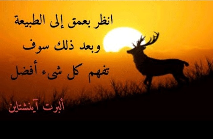 كلام جميل عن جمال الطبيعة