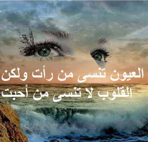 كلام جميل عن جمال العيون