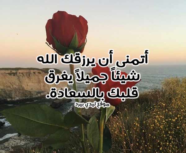 كلام جميل لشخص تحبه في الله