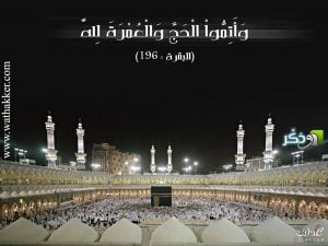 كلام جميل للحجاج