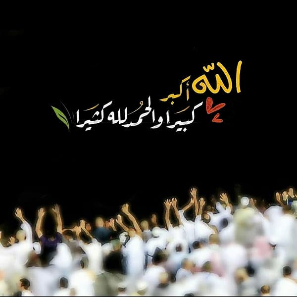 كلام جميل للحجاج