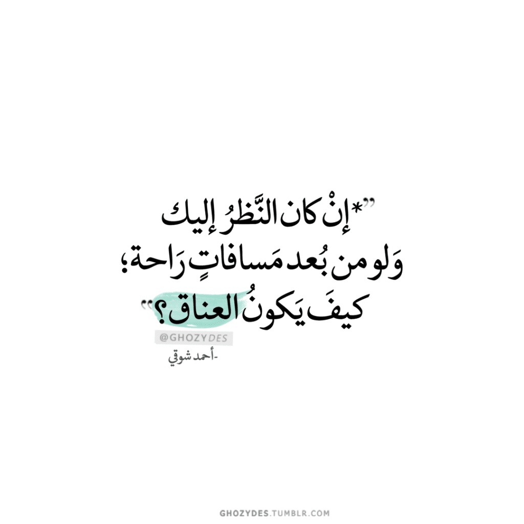 كلام حب جديد